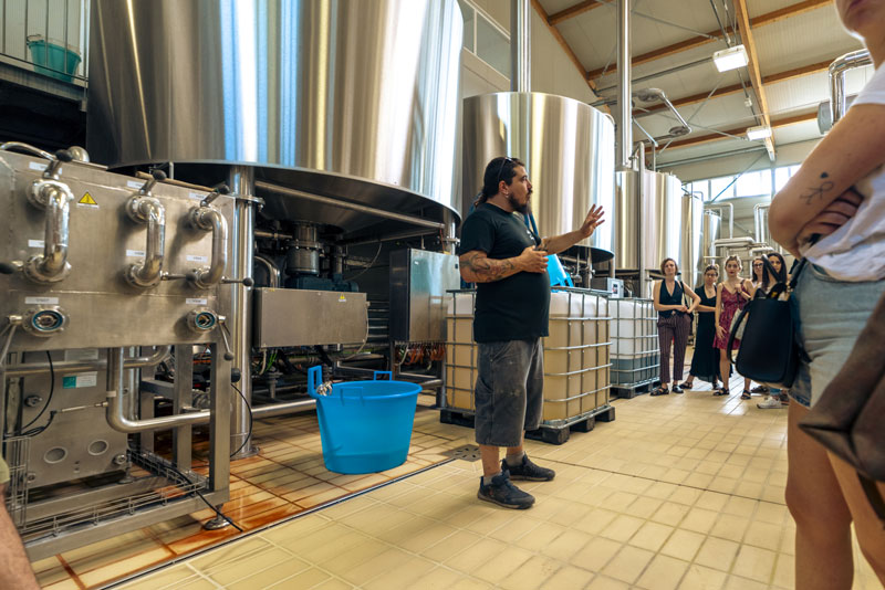 Visita al birrificio con degustazione guidata di birre artigianali