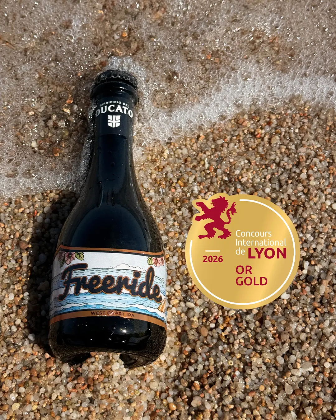 birra-freeride-medaglia-oro-concours-international-de-lyon-2026