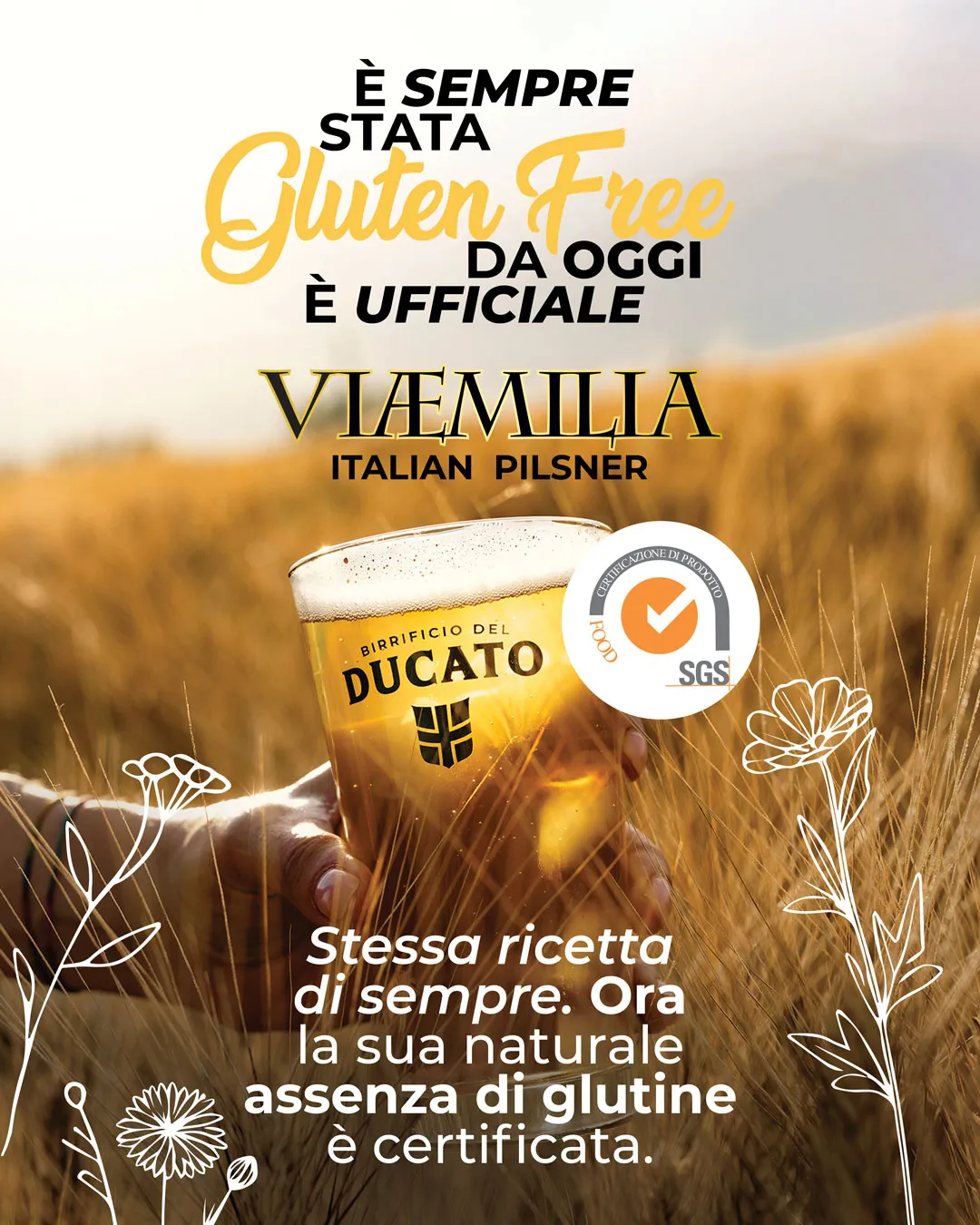 comunicazione ufficiale su viaemilia di birrificio del ducato, che ha ottenuto la certificazione come birra gluten free